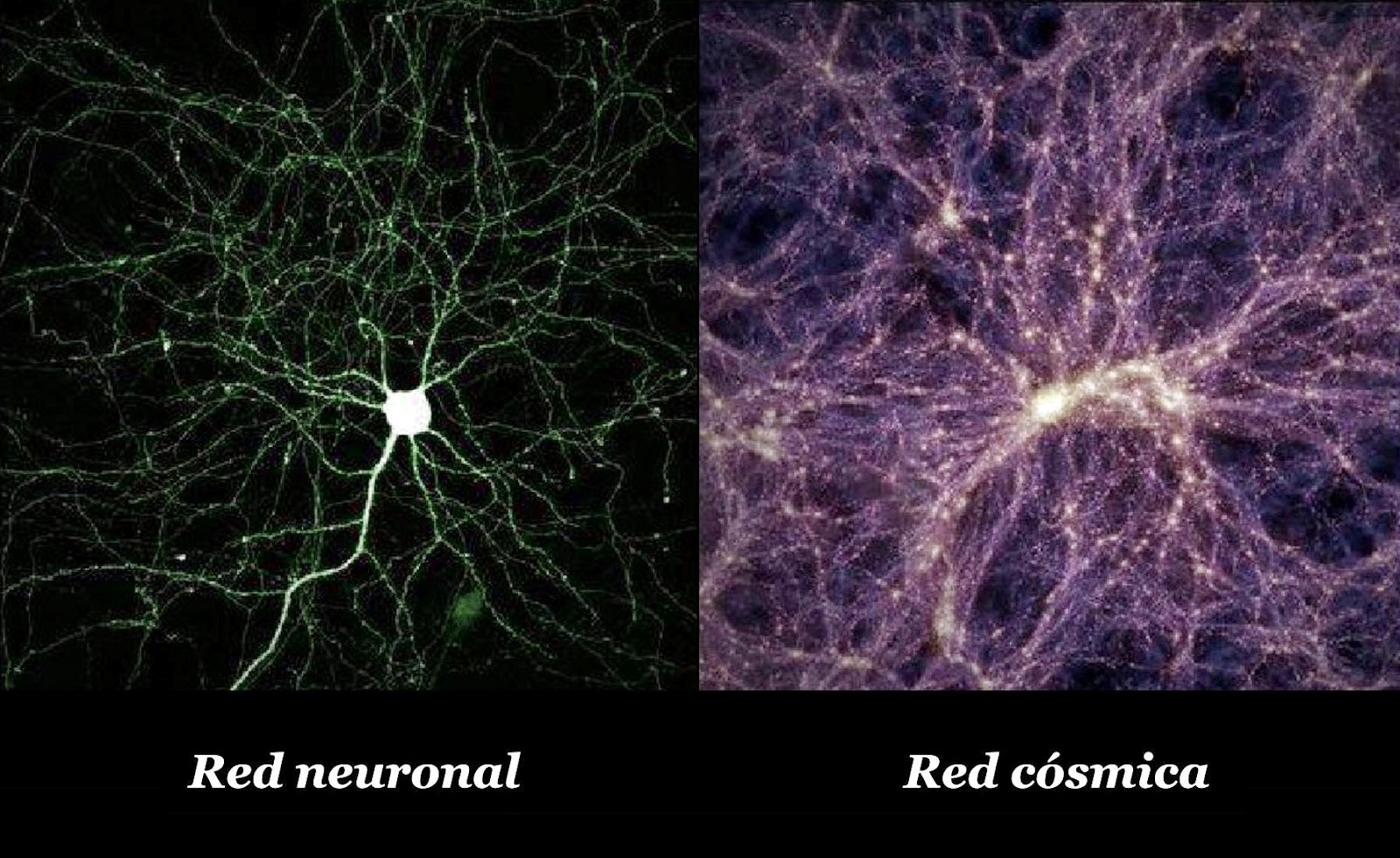 Universo Mental